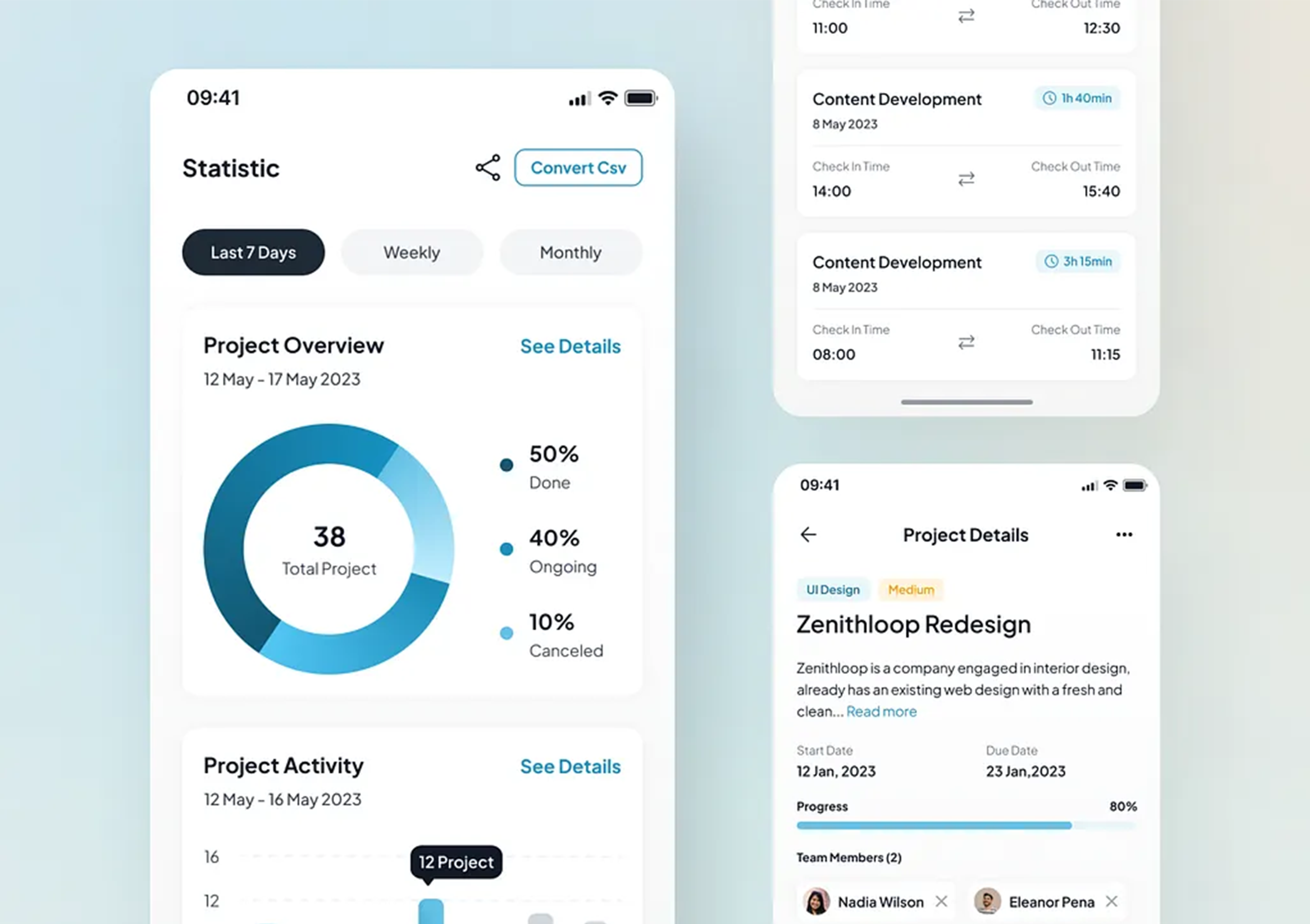 Project Detail Page Mockup